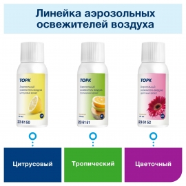 Tork     ,     - service-uborka.ru